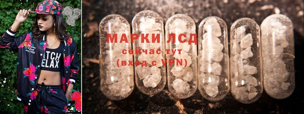 гидра Пестово