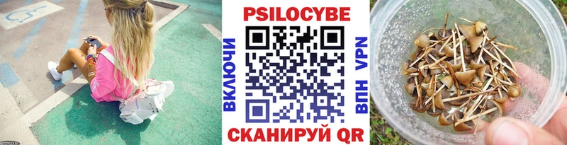 Псилоцибиновые грибы GOLDEN TEACHER  Приморск 